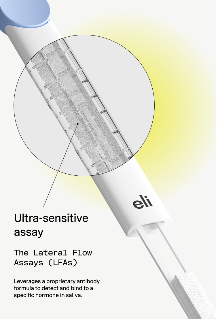 The Lateral Flow Assays (LFAs) leverages a proprietary antibody formula to detect and bind to a specific hormone in saliva.