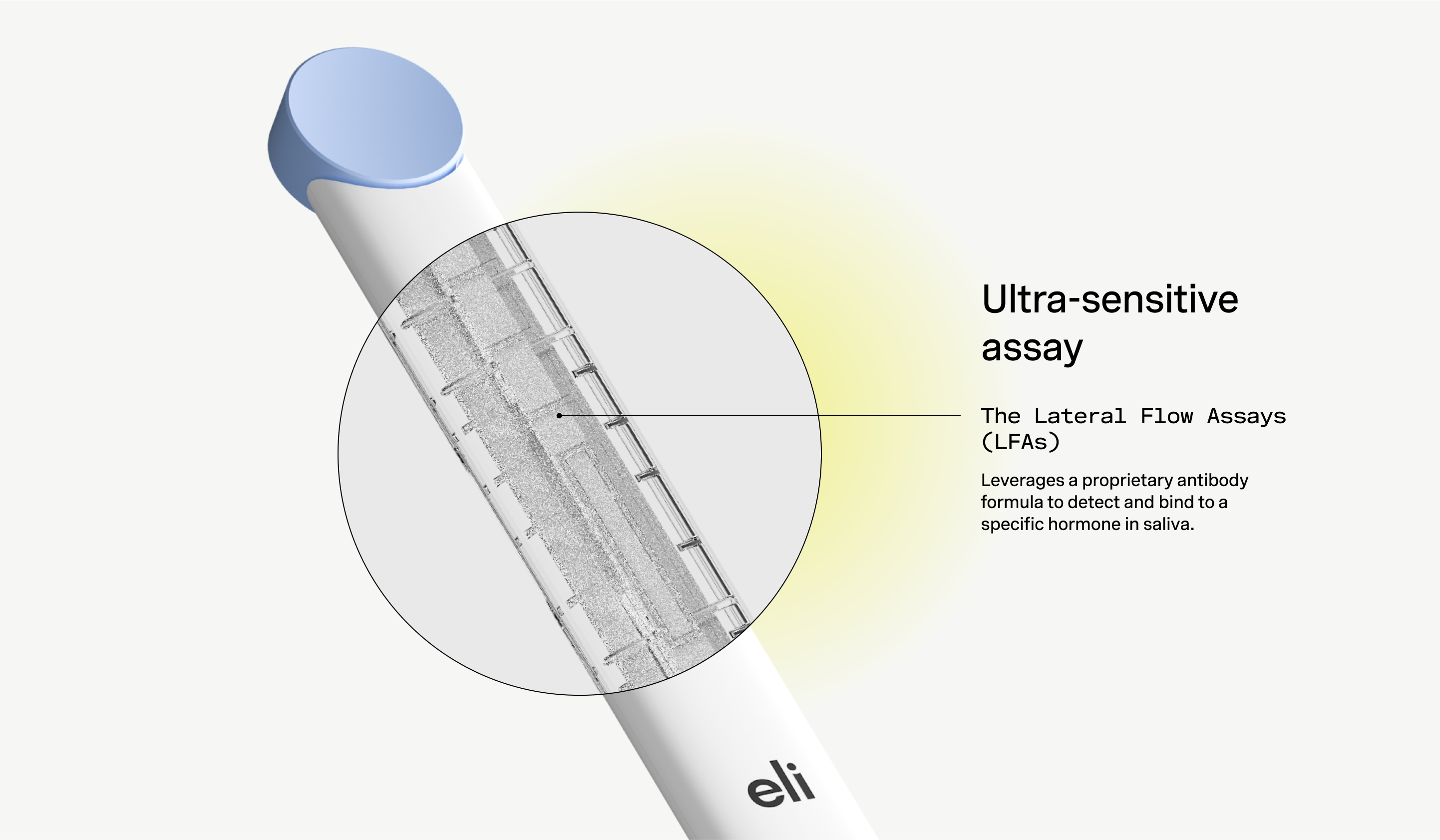 The Lateral Flow Assays (LFAs) leverages a proprietary antibody formula to detect and bind to a specific hormone in saliva.