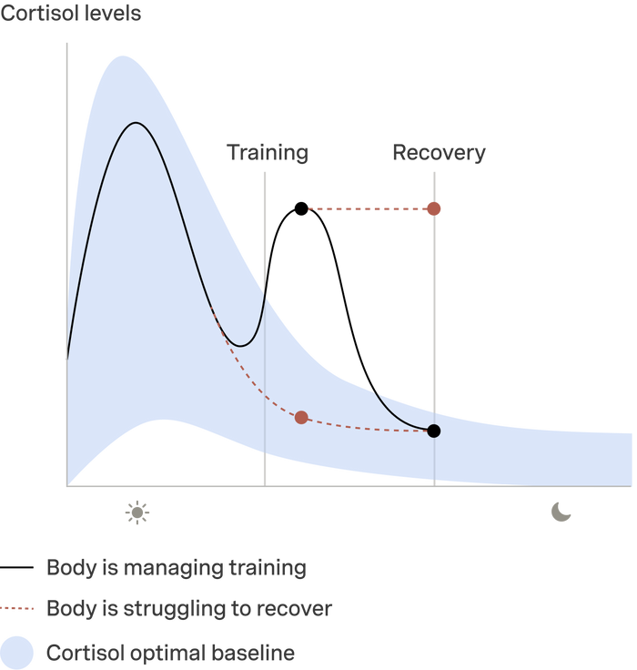Optimize Athletic Performance with Cortisol Testing | Eli Training Kit ...